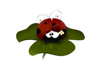 ladybug 48082_640